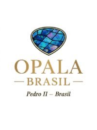 Pingente Trevo Pedra Natural Coração Peridoto Prata 925 - TESTE 3